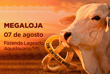 MEGALOJA CFM
